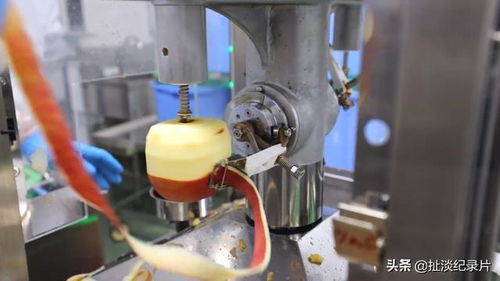 日本的孩子不吃盒飯 來看看日本的食品加工廠如何制作中小學(xué)生午餐